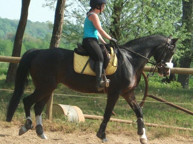 Photo de profil de heloiseserieu