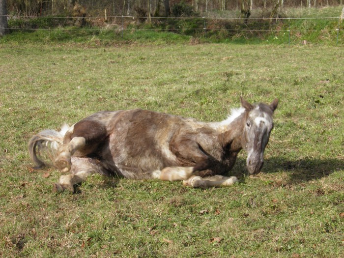 Photo de profil de jennyvanna