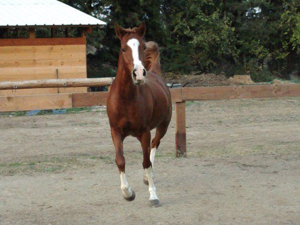 Photo de profil de djulay