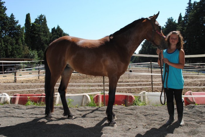 Photo de profil de charlenerippert