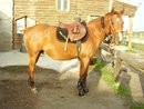 Photo de profil de izahiduvernet
