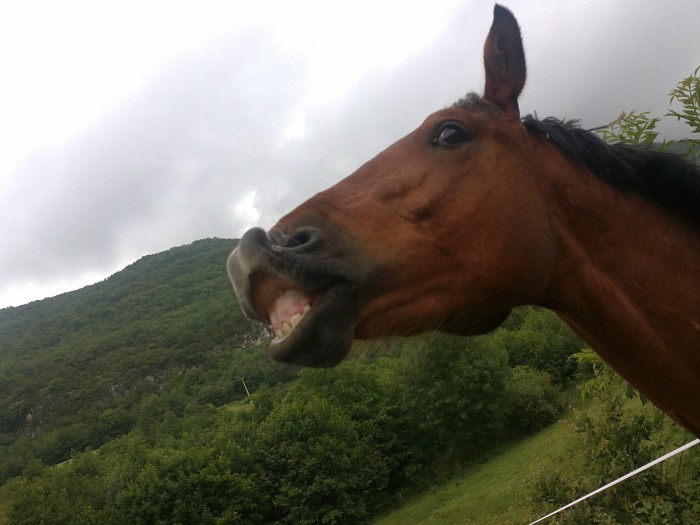 Photo de profil de znita