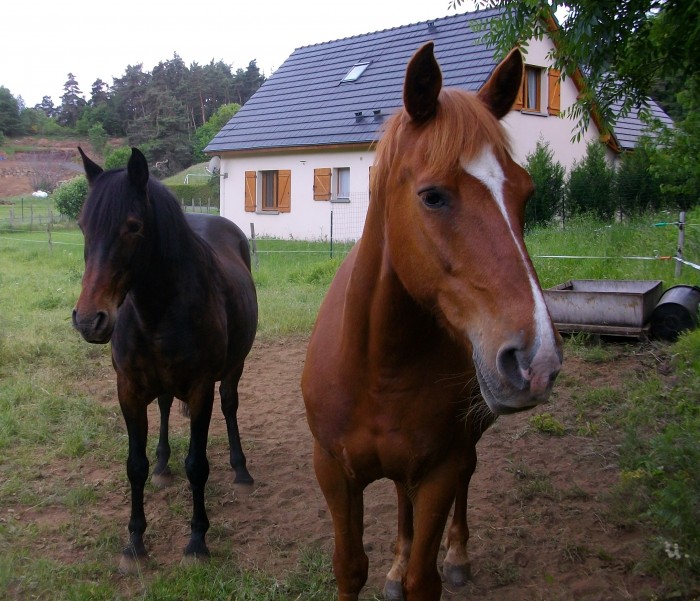 Photo de profil de nena63