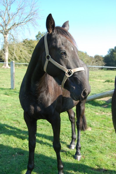 Photo de profil de pg76