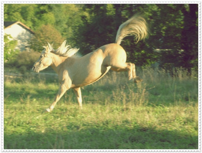 Photo de profil de cha26000