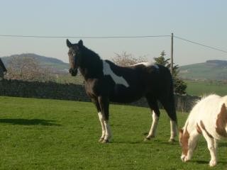 Photo de profil de nanoucm