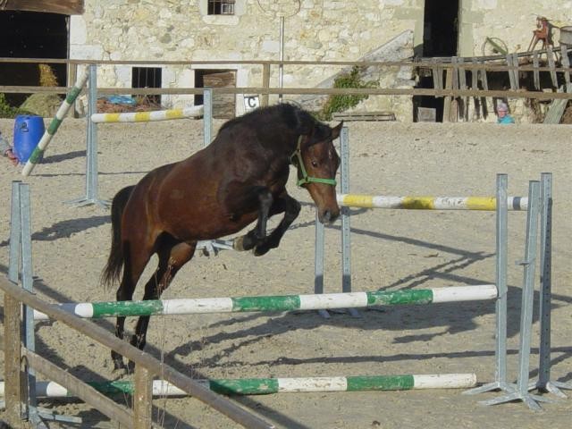 Photo de profil de shaiya74