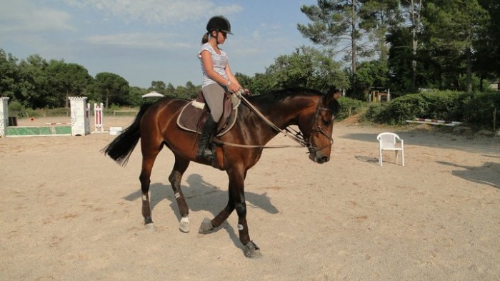 Photo de profil de revedetoiles