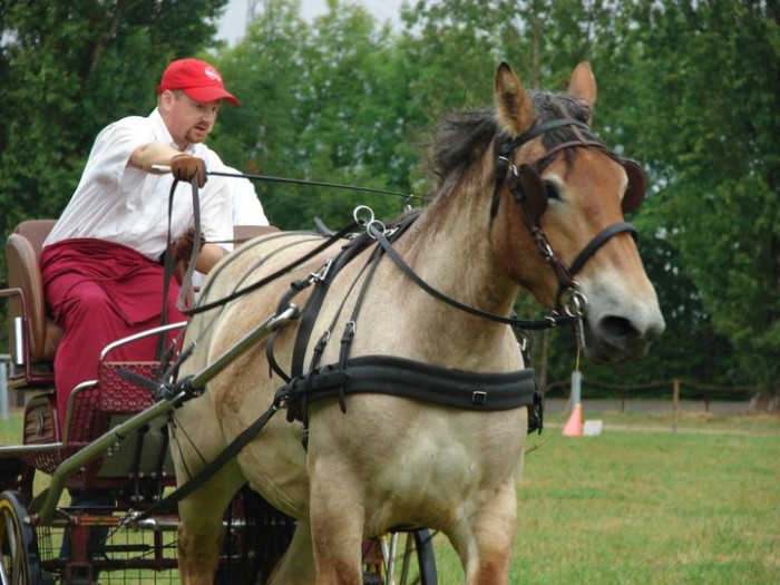 Photo de profil de titi324
