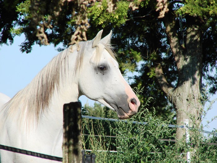 Photo de profil de zette32