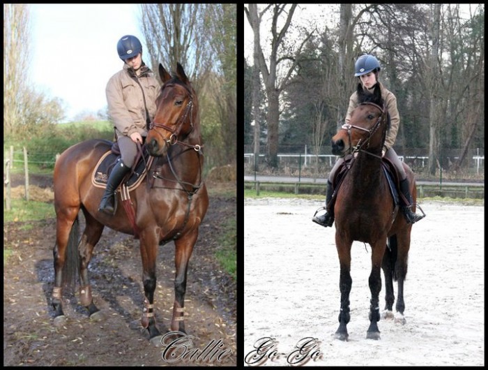 Photo de profil de okelphotos