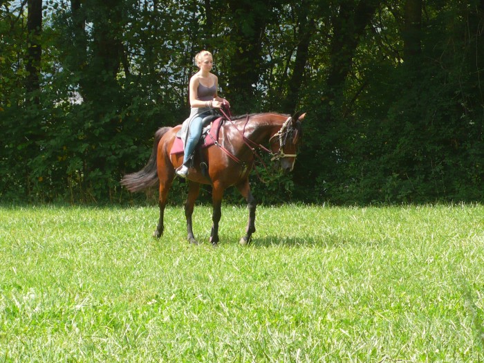 Photo de profil de elsa_figaro