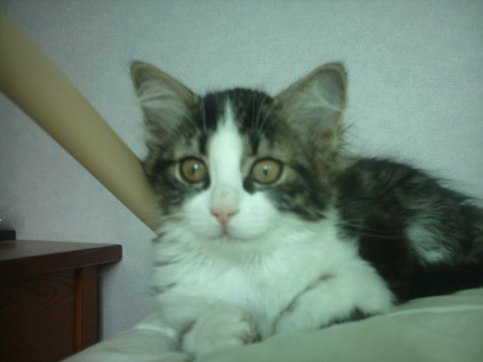 Photo de profil de godric