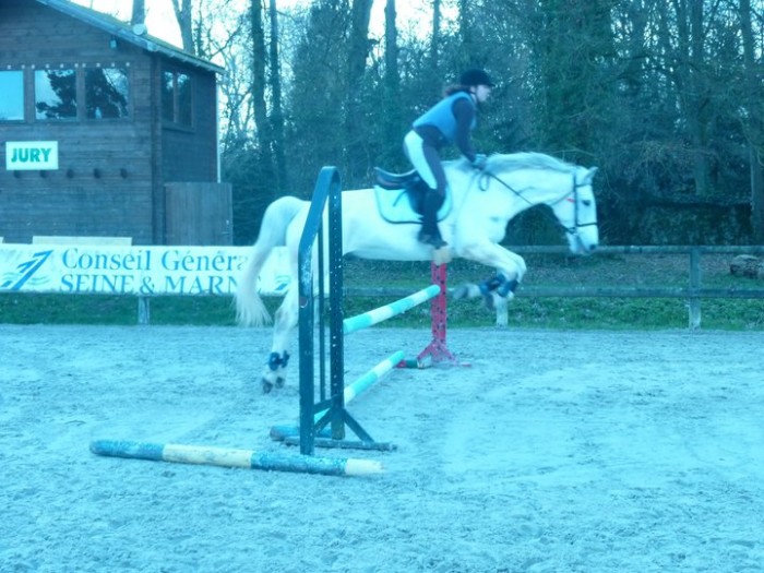 Photo de profil de promenadecheval