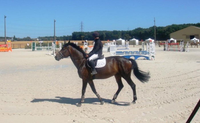 Photo de profil de andrea37