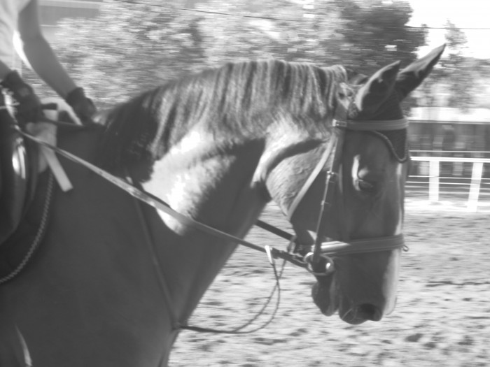 Photo de profil de minniejolie