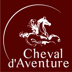 Photo de profil de chevaldav