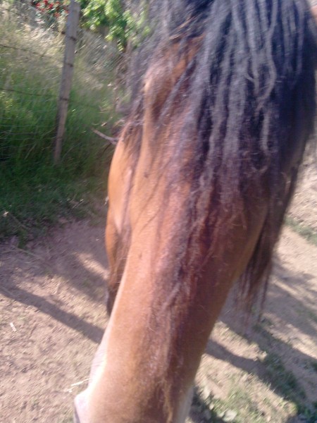 Photo de profil de towpaze