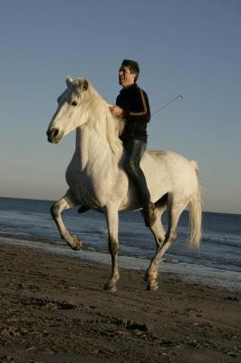 Photo de profil de groscastor