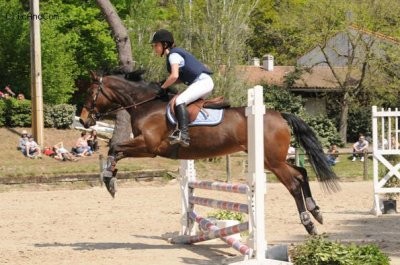 Photo de profil de marchal94