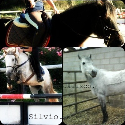 Photo de profil de xtipouetx3