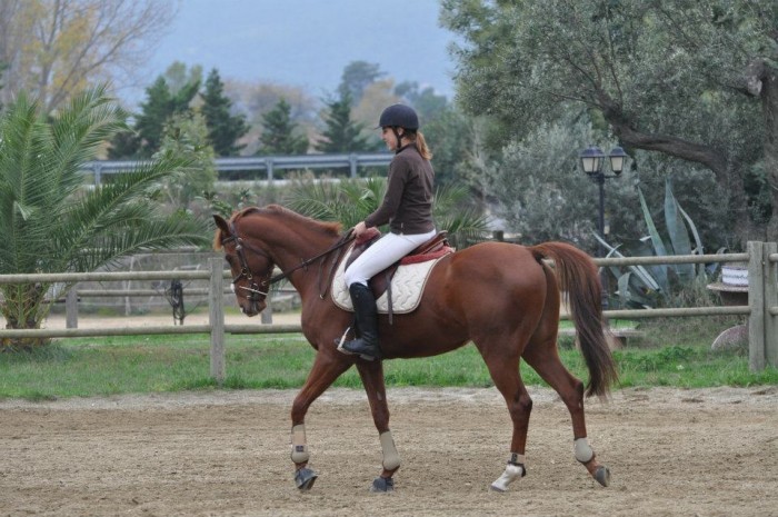 Photo de profil de jade66