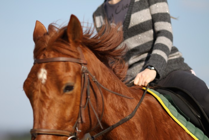 Photo de profil de qualis