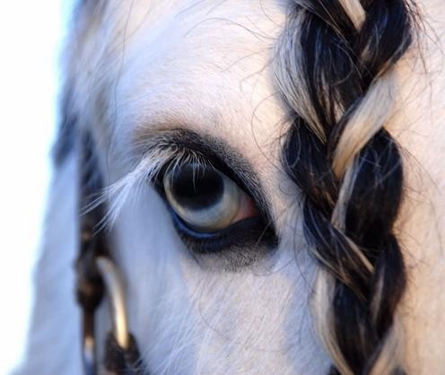 Photo de profil de ishenson21