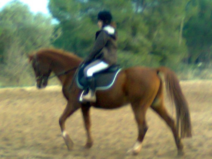 Photo de profil de shamir