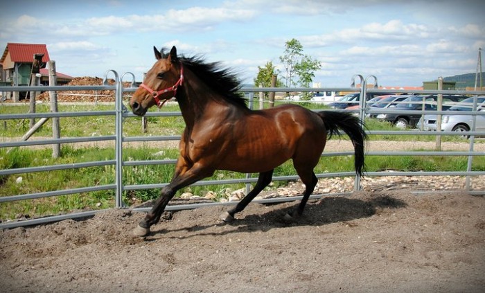 Photo de profil de anafootballeuzz