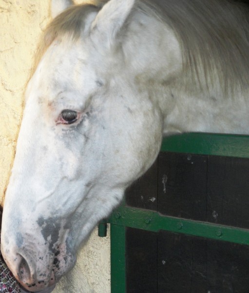 Photo de profil de bressandrine