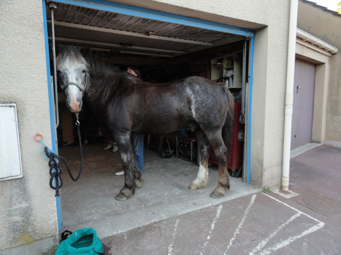 Photo de profil de meling