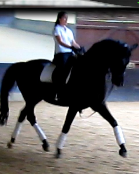 Photo de profil de colineu