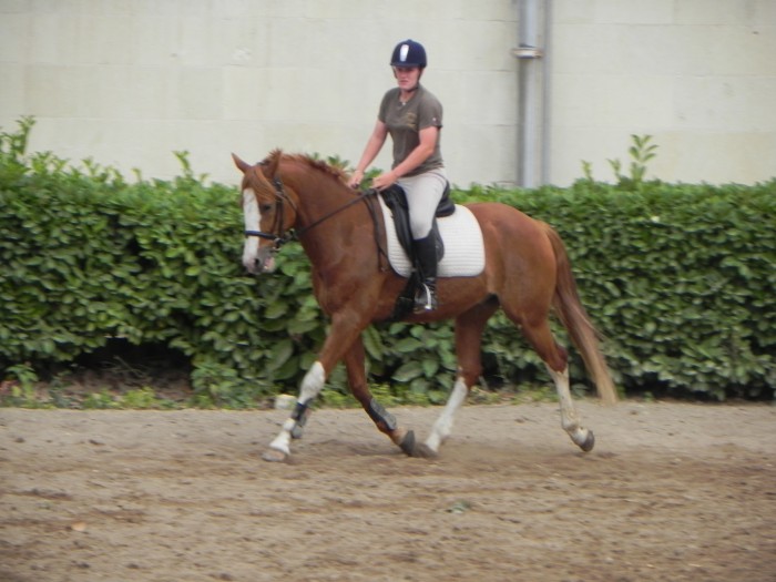 Photo de profil de lilimug