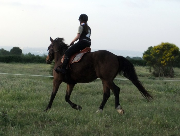 Photo de profil de chevalove34