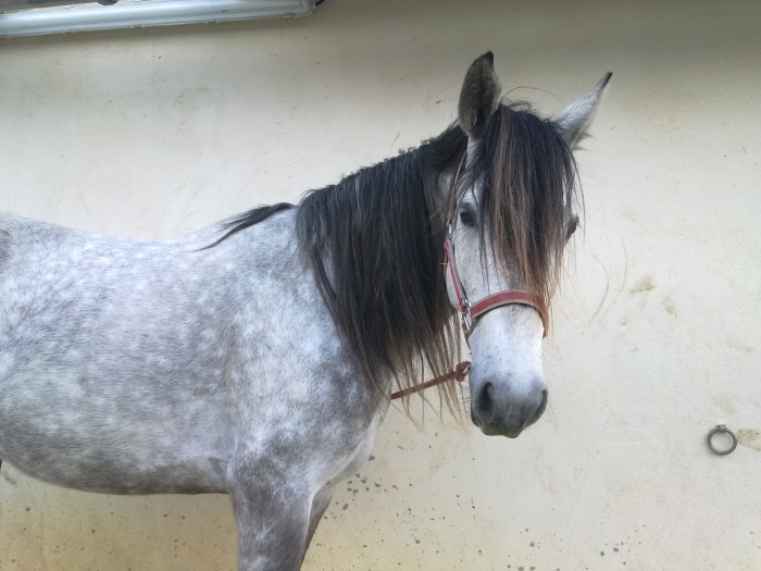 Photo de profil de divalolo