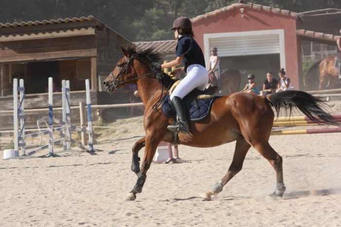 Photo de profil de fmaeva