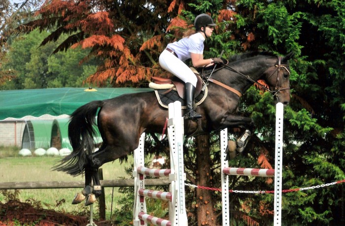 Photo de profil de oscarduplenitre