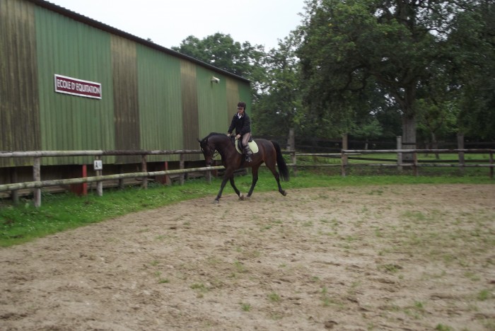 Photo de profil de anaelleodin