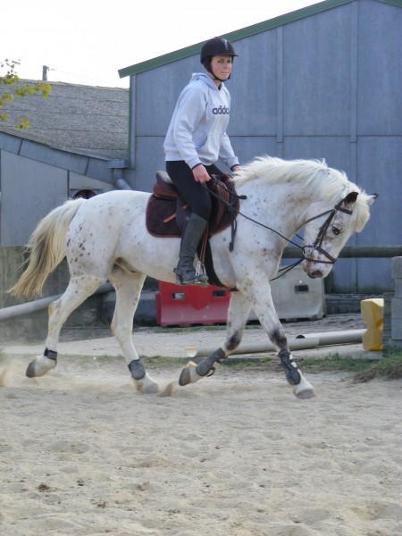 Photo de profil de redoak