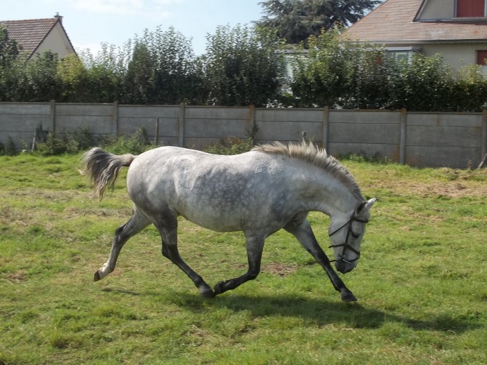 Photo de profil de alicesaglisse