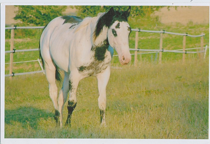Photo de profil de lysandraocana