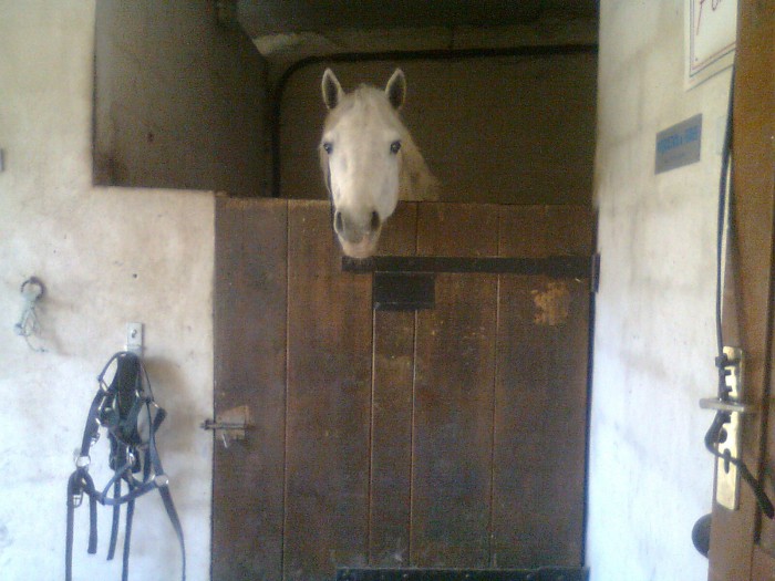 Photo de profil de badger35