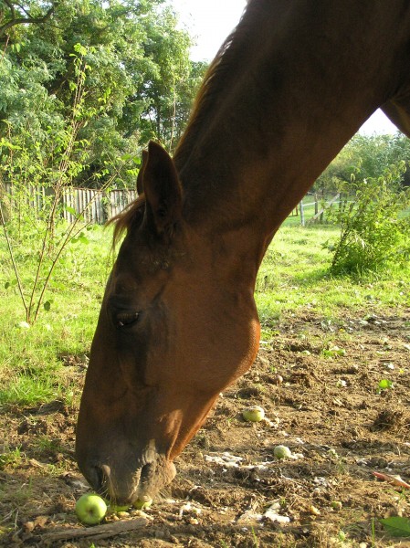 Photo de profil de cyriellel02