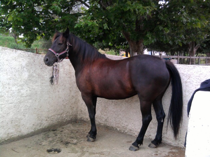 Photo de profil de fanny30730