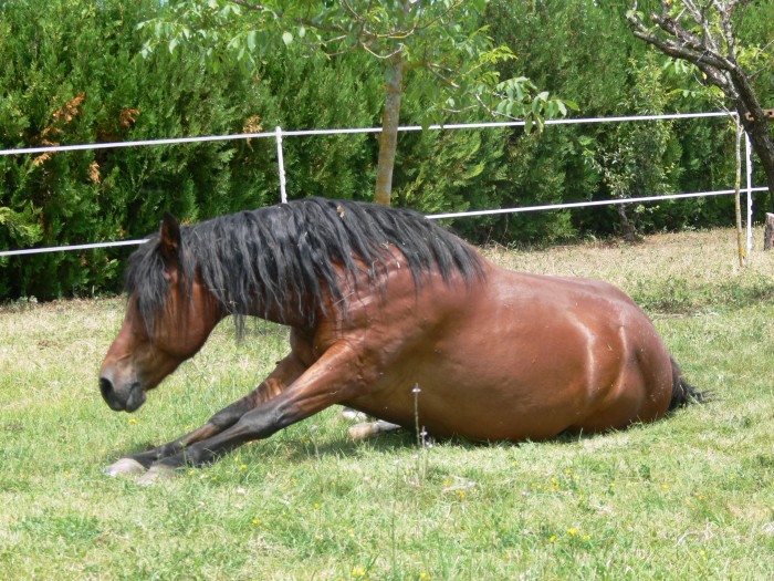 Photo de profil de bacchusetnuit