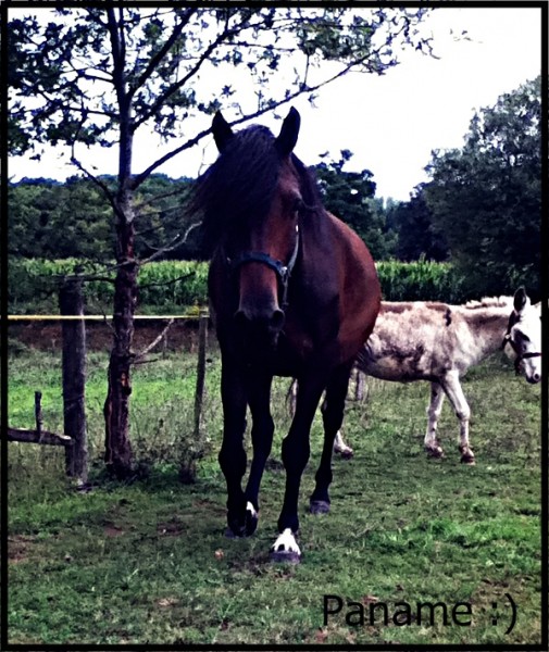 Photo de profil de viedechatoetmoi