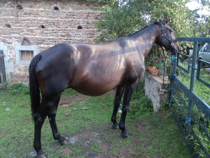 Photo de profil de sushi123