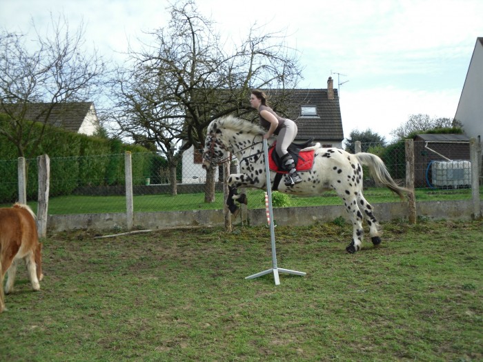 Photo de profil de gleschcka24