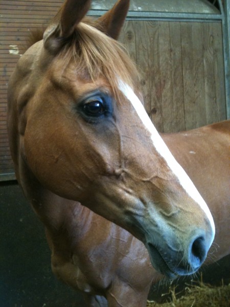 Photo de profil de jojorie
